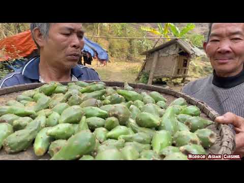 Youtube: Eat cactus fruit