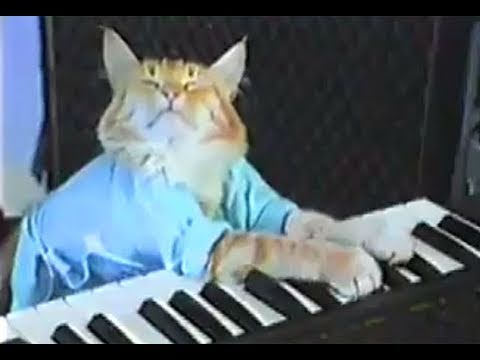 Youtube: Charlie Schmidt's Keyboard Cat! - THE ORIGINAL!