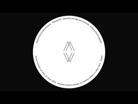 Youtube: Krypt - Looking For The Exit [RZL01]