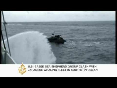 Youtube: High stakes whaling standoff on the high seas - 07 Jan 10