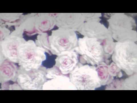 Youtube: Crystal Castles "AFFECTION" Official