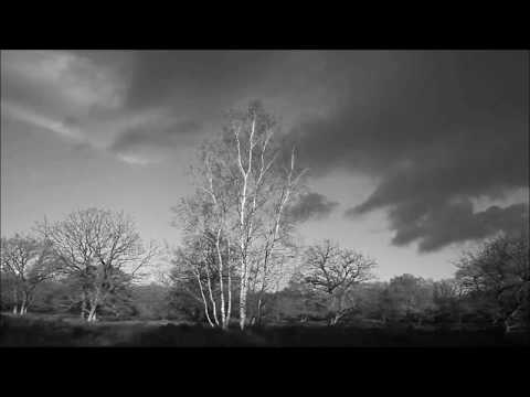 Youtube: Cuby & the Blizzards - Window of my eyes (1968)