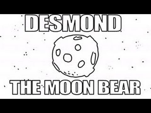 Youtube: Desmond der Mondbär