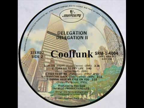 Youtube: Delegation - I Wantcha Back (1981)