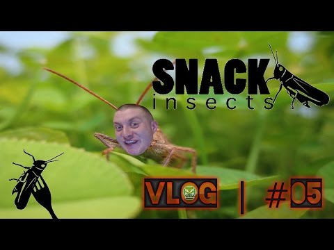 Youtube: SNACK-INSECTS ! | VLOG | #05