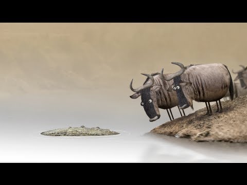 Youtube: Wildebeest from Birdbox Studio