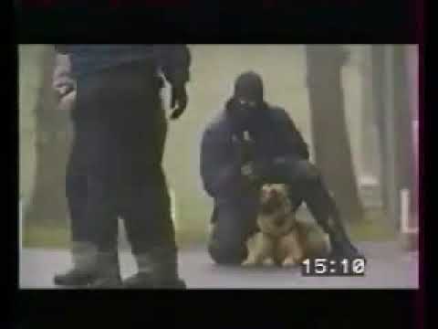 Youtube: Belgischer Malinois, Schutzhund - Polizeihund