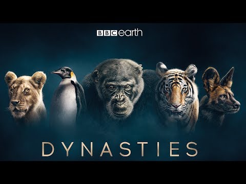 Youtube: Dynasties: First Look Trailer | New David Attenborough Series | BBC Earth