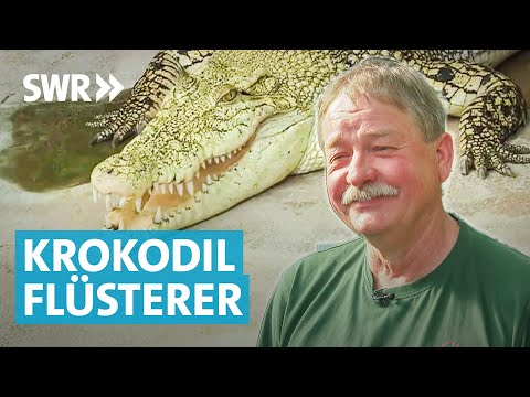 Youtube: Wilhelma Stuttgart: "Crocodile Harry" geht vom Zoo in den Ruhestand