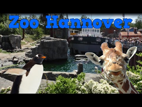 Youtube: Zoo Hannover | Tiere und Themenwelten