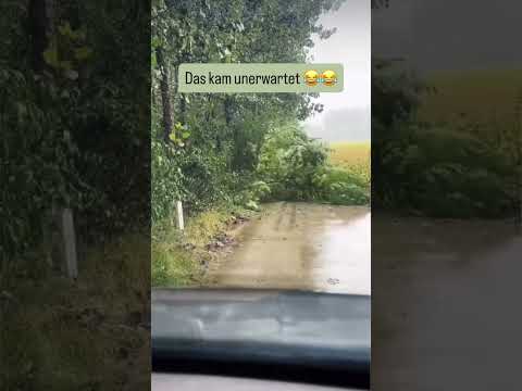 Youtube: Unverhofft kommt oft 😂😂 #humours #witze #funnyreels😂😂 #funnyvideos #lachenmachtglücklich #memes