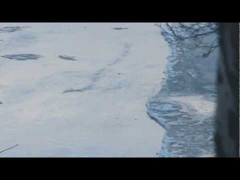 Youtube: Icelandic lake monster Lagarfljot Worm seen again