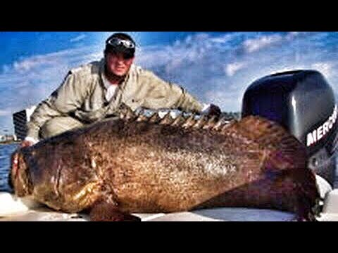 Youtube: Awesome Amazing Fishing - Beast Fishing Monster of the Deep - Spectacular Fort Myers Fishing Trips