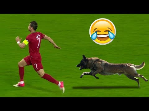 Youtube: Tiere Wollen Fußball Spielen | Lustige Videos Zum Totlachen 2017