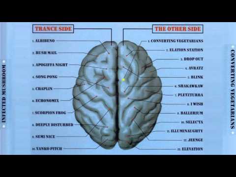 Youtube: Infected Mushroom - Converting Vegetarians