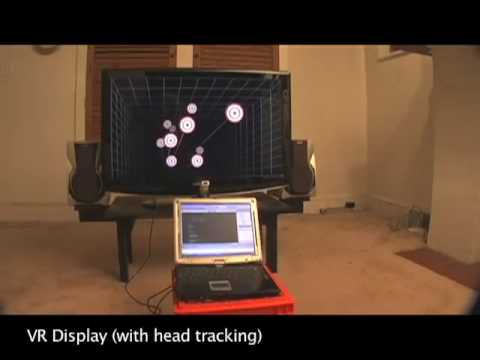 Youtube: Head Tracking for Desktop VR Displays using the WiiRemote