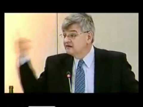 Youtube: Joschka Fischer i am not convinced.flv