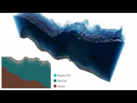 Youtube: Real-Time Eulerian Water Simulation