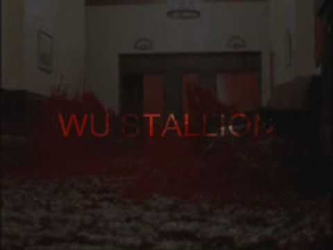 Youtube: DONT TEST/WU STALLION-SUGA BANG BANG www.myspace.com/shao440
