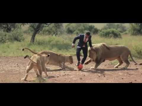 Youtube: A world's first: Kevin Richardson playing football with wild lions (FULL VIDEO)