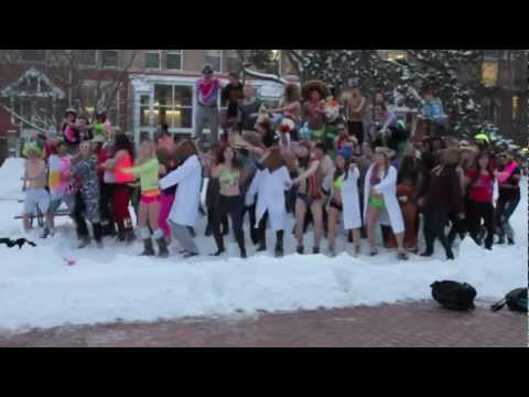 Youtube: University of Guelph - Harlem Shake
