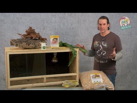 Youtube: Reptil TV - Folge 75 - DIY Reptilien Holz Terrarium
