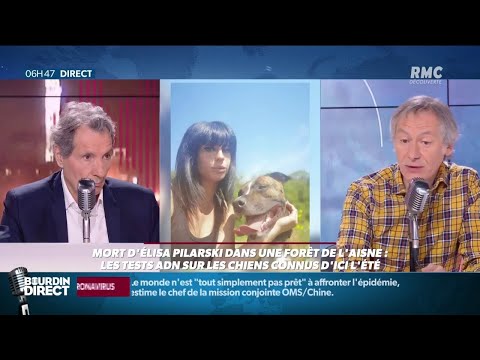 Youtube: Mort d'Elisa Pilarski: pourquoi les tests ADN sur les 67 chiens prennent-ils autant de temps?