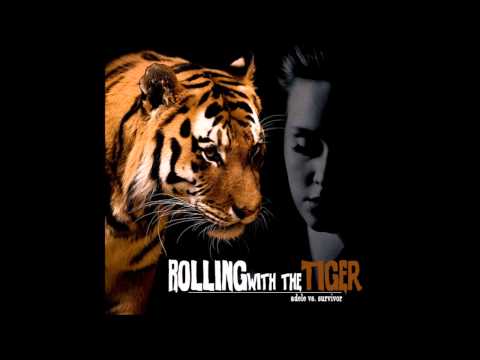 Youtube: Rolling with the Tiger (Survivor vs. Adele)