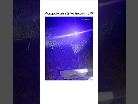 Youtube: Mosquito air strike incoming🦟