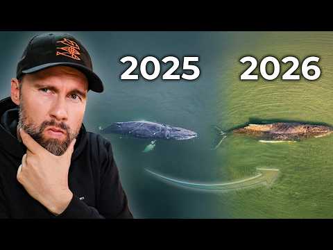 Youtube: Buckelwal Timmy musste 2025 schon gerettet werden?! | Robert Marc Lehmann reagiert