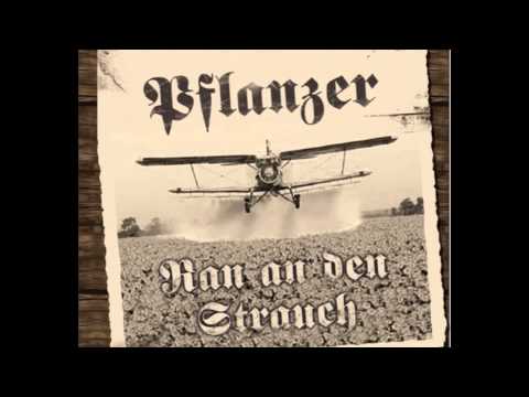 Youtube: Pflanzer - Popieker