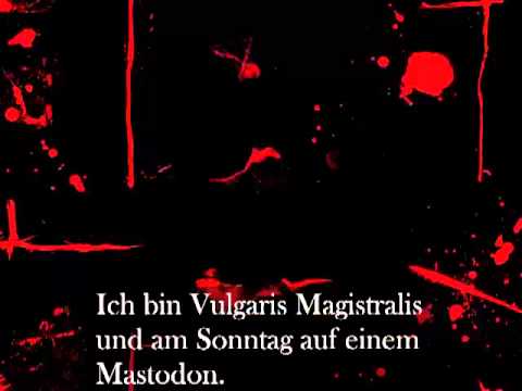 Youtube: Heidevolk - Vulgaris Magistralis (german subtitles)