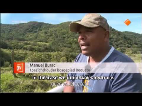 Youtube: Boquete, village of crime, without a capable police force. "They don't know the bad boys in town."