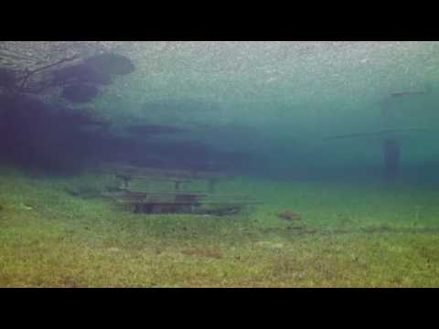 Youtube: Beautiful Film of Scuba Diving in a Newly Flooded Meadow.