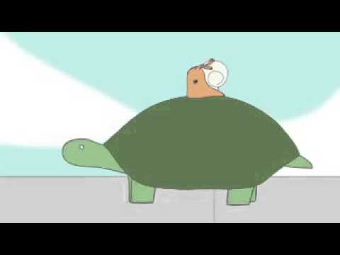 Youtube: Schnecke auf Schildkröte