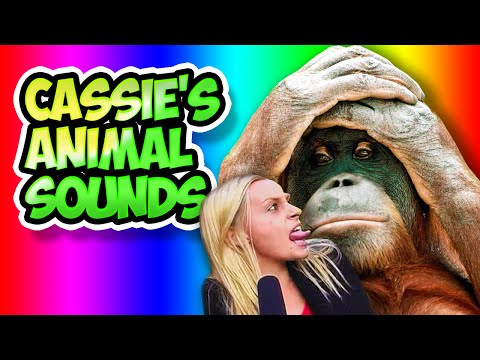 Youtube: CASSIE'S ANIMAL SOUNDS
