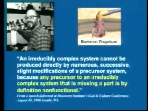 Youtube: Irreducible Complexity (bacterial flagellum) debunked