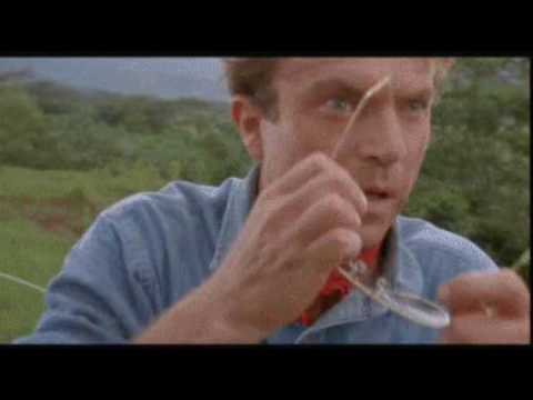 Youtube: YTMND-Holy shi* it's a Dinosaur WTF (jurassic park)