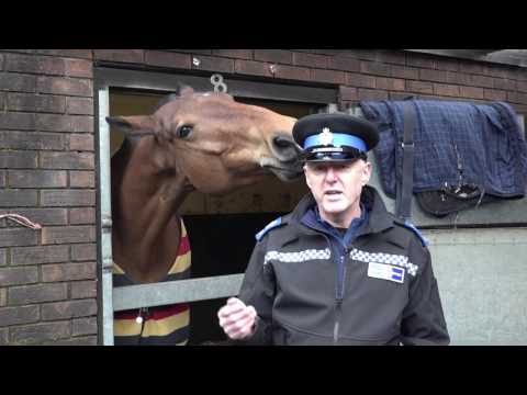 Youtube: Thames Valley Police launches Animal Whispering Unit