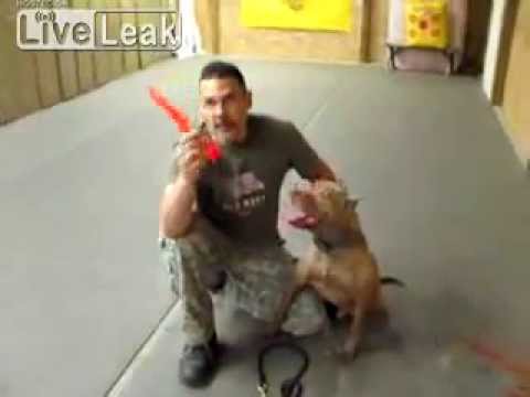 Youtube: Break Stick: making a Pit Bull release when it attacks