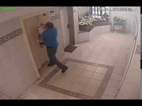 Youtube: Dog escapes near death from elevator