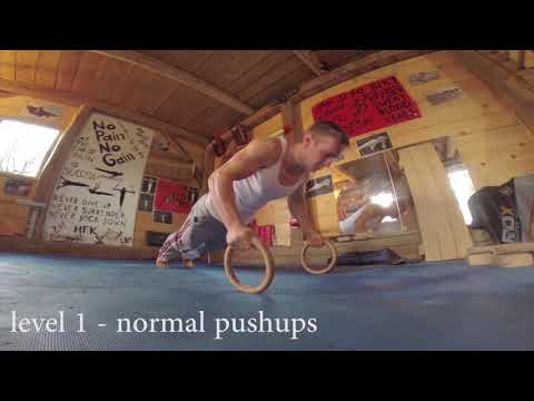 Youtube: Dominik Sky - Ring Grip Push ups