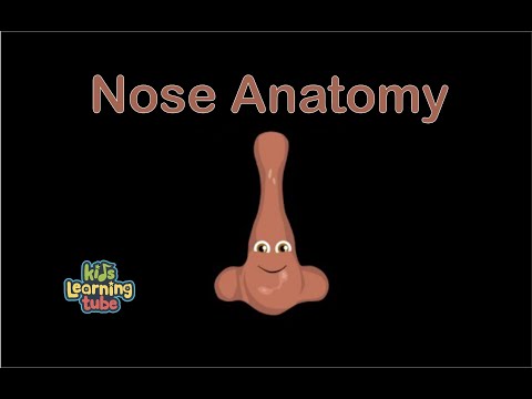 Youtube: The Nose Anatomy Song