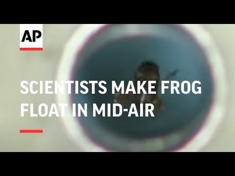 Youtube: NETHERLANDS: BRITISH & DUTCH SCIENTISTS MAKE FROG FLOAT IN MID-AIR