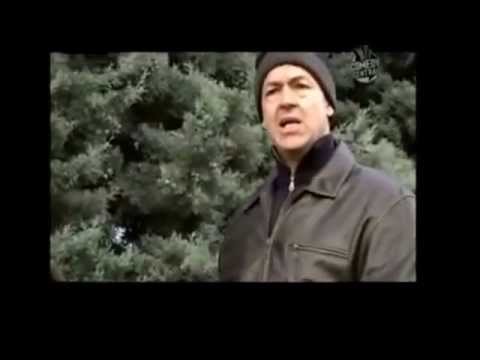 Youtube: Hier liegt der Harald