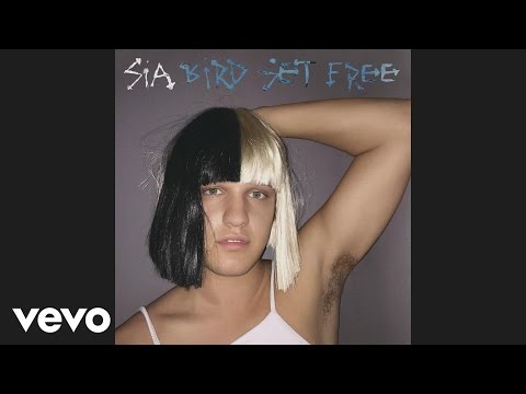 Youtube: Sia - Bird Set Free (Audio)