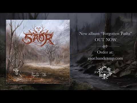 Youtube: SAOR - Forgotten Paths (feat. Neige of Alcest)