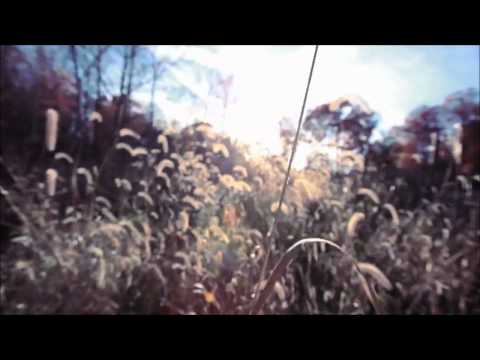 Youtube: Ryan Davis - Fading Star