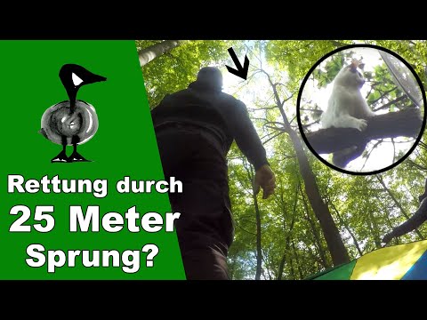 Youtube: Rettung durch 25 Meter Sturz? - Tiernotruf #297
