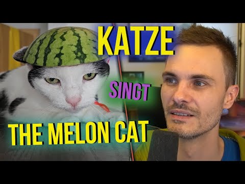 Youtube: Katze singt den Melonen Song